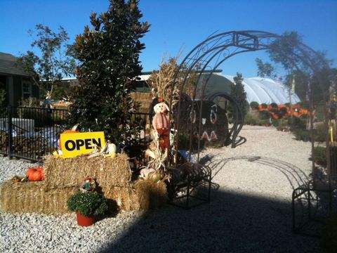 Open sign at the patch arch (fall 2013)